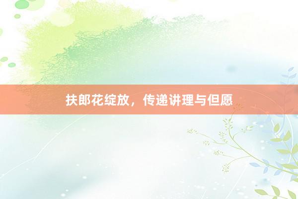 扶郎花绽放，传递讲理与但愿