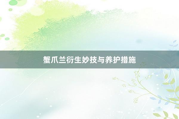 蟹爪兰衍生妙技与养护措施