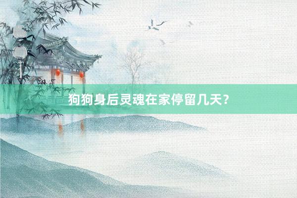 狗狗身后灵魂在家停留几天?